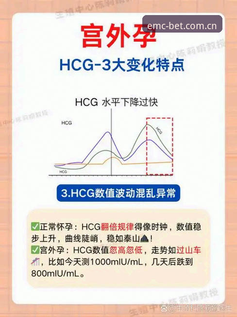 易倍EMC 2026新版手机版5处关键变化——从加载速度到界面适配的实测